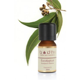 Esenciálny olej Eukalyptus