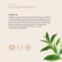 Darčeková sada prírodnej kozmetiky Zelený čaj 2 x 250ml - Bio & Vegan