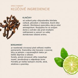 Masážny olej Spice Therapy PROFI - 100% prírodný