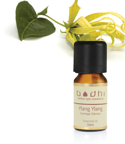 ylang ylang